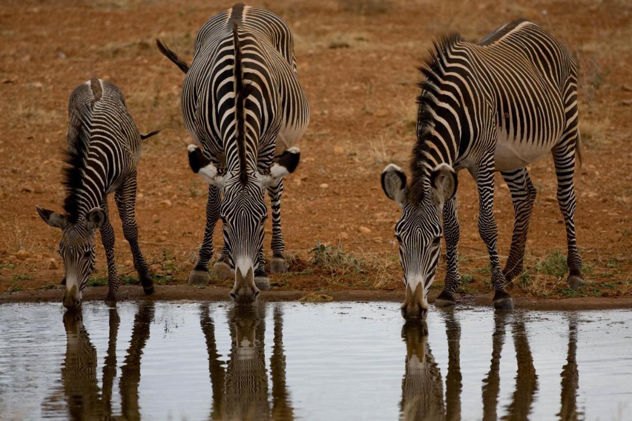 Samburu Sopa Lodge Archers Post Zewnętrze zdjęcie